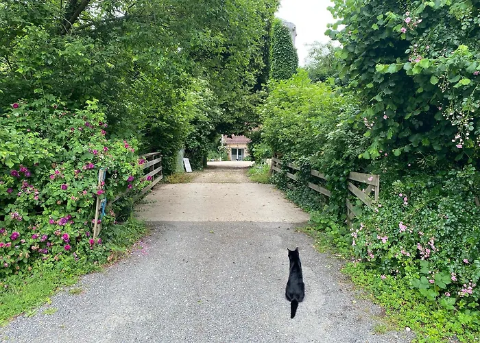 Moulin de la Rouchotte